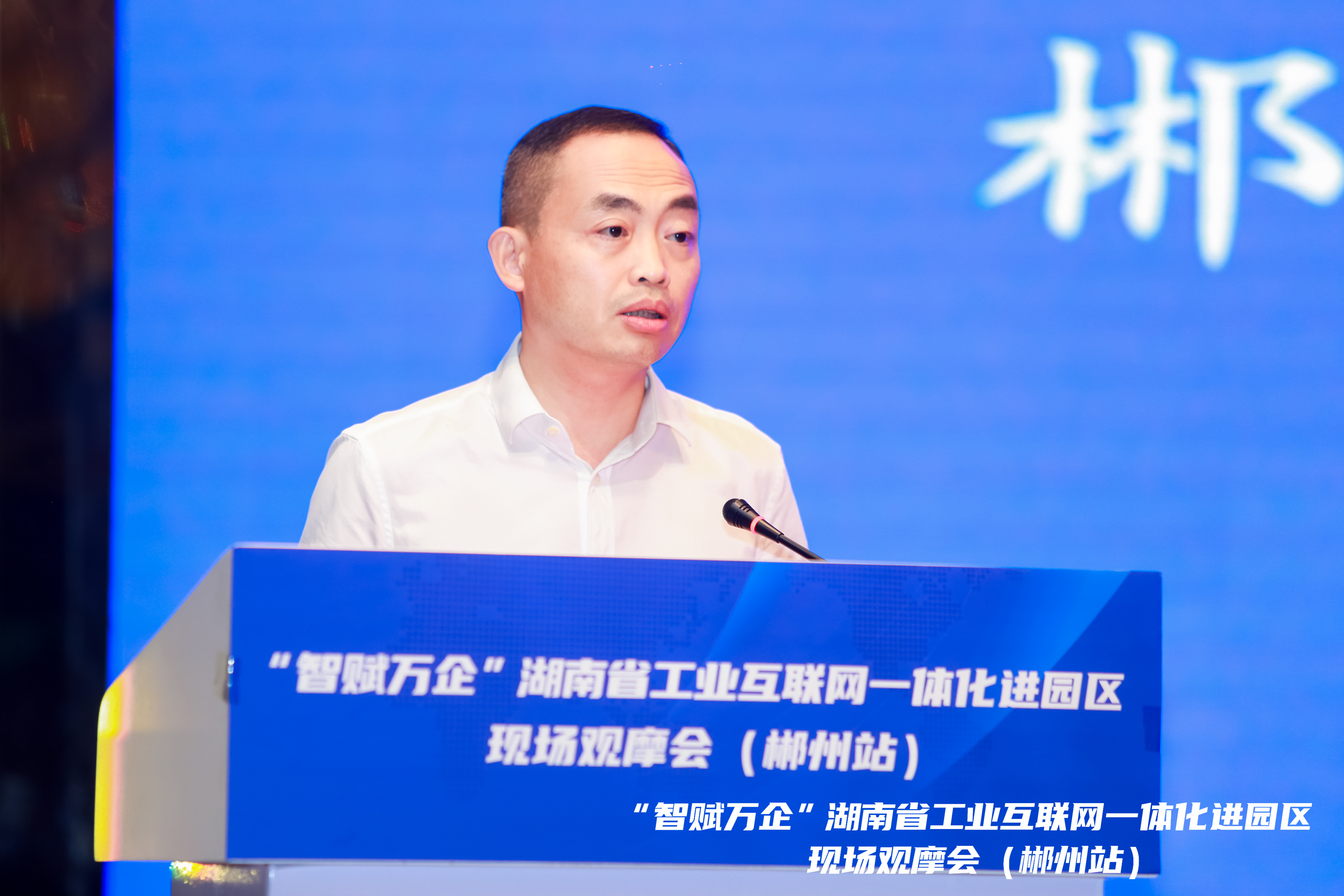 图片15765.png